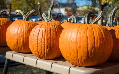 Pumpkin Carving Extravaganza – October 25, 2026